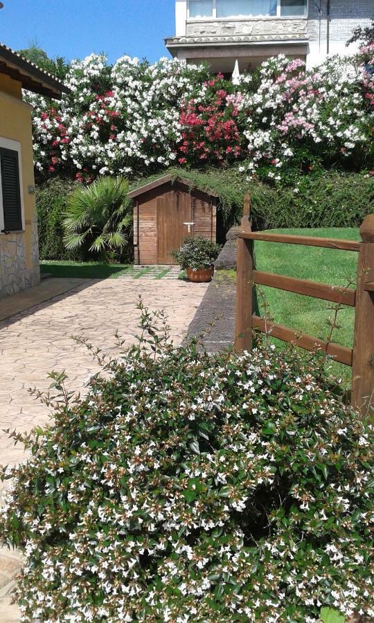 Bed and Breakfast L'Infinito Carbognano Zewnętrze zdjęcie