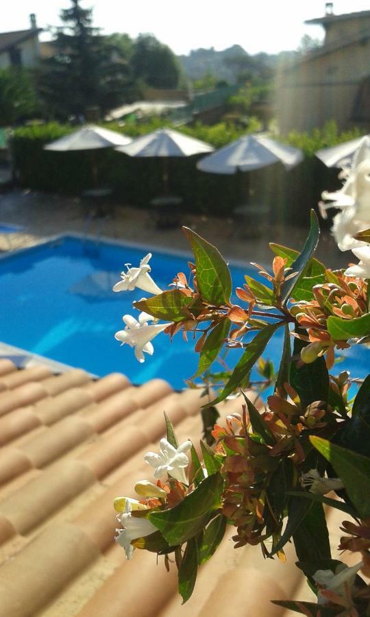 Bed and Breakfast L'Infinito Carbognano Zewnętrze zdjęcie